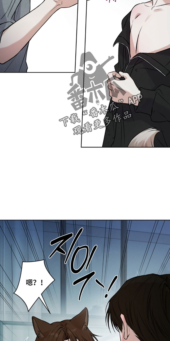 第16话：第16章：全都死了预览分镜