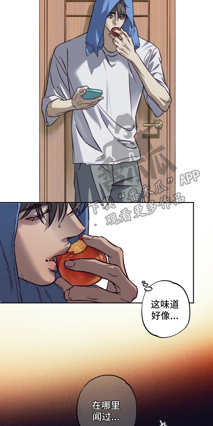 第11话：第11章：请我吃饭预览分镜
