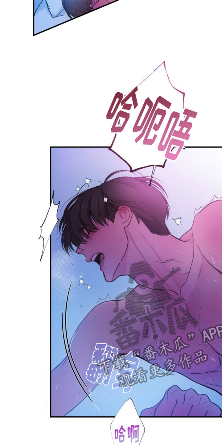 第12话：看着我预览分镜