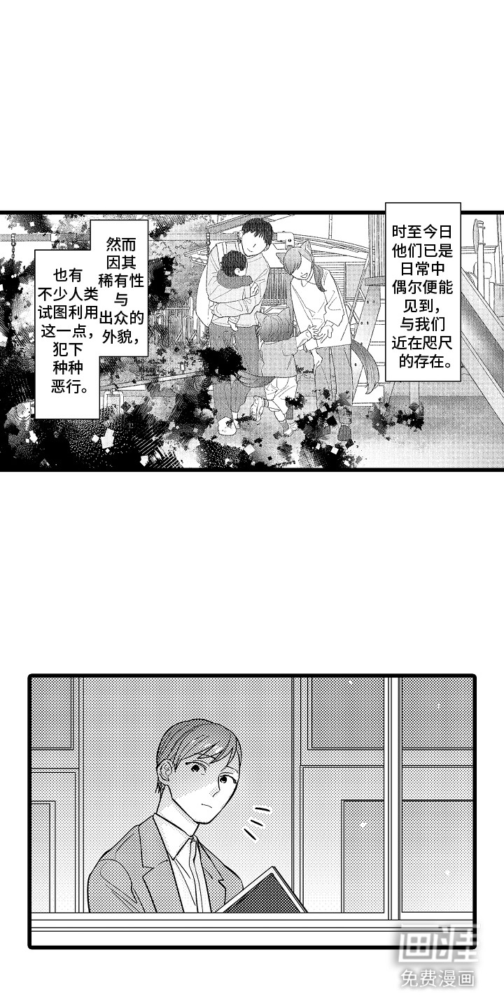 第1话：第1章：兽人预览分镜