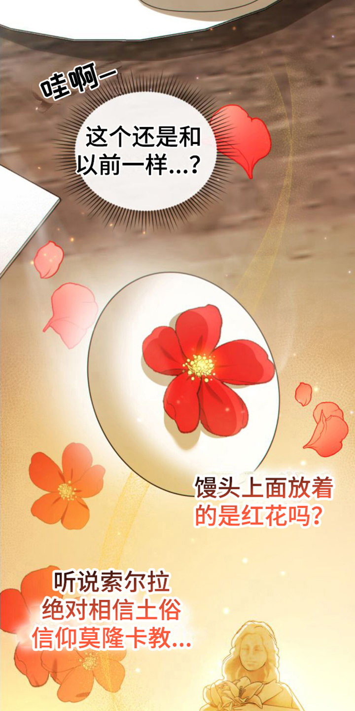 第17话：好奇预览分镜