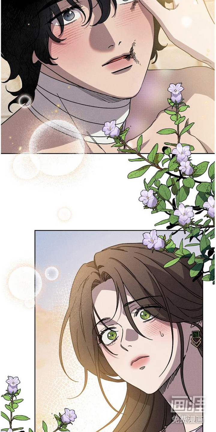 第15话：第15章：回报预览分镜