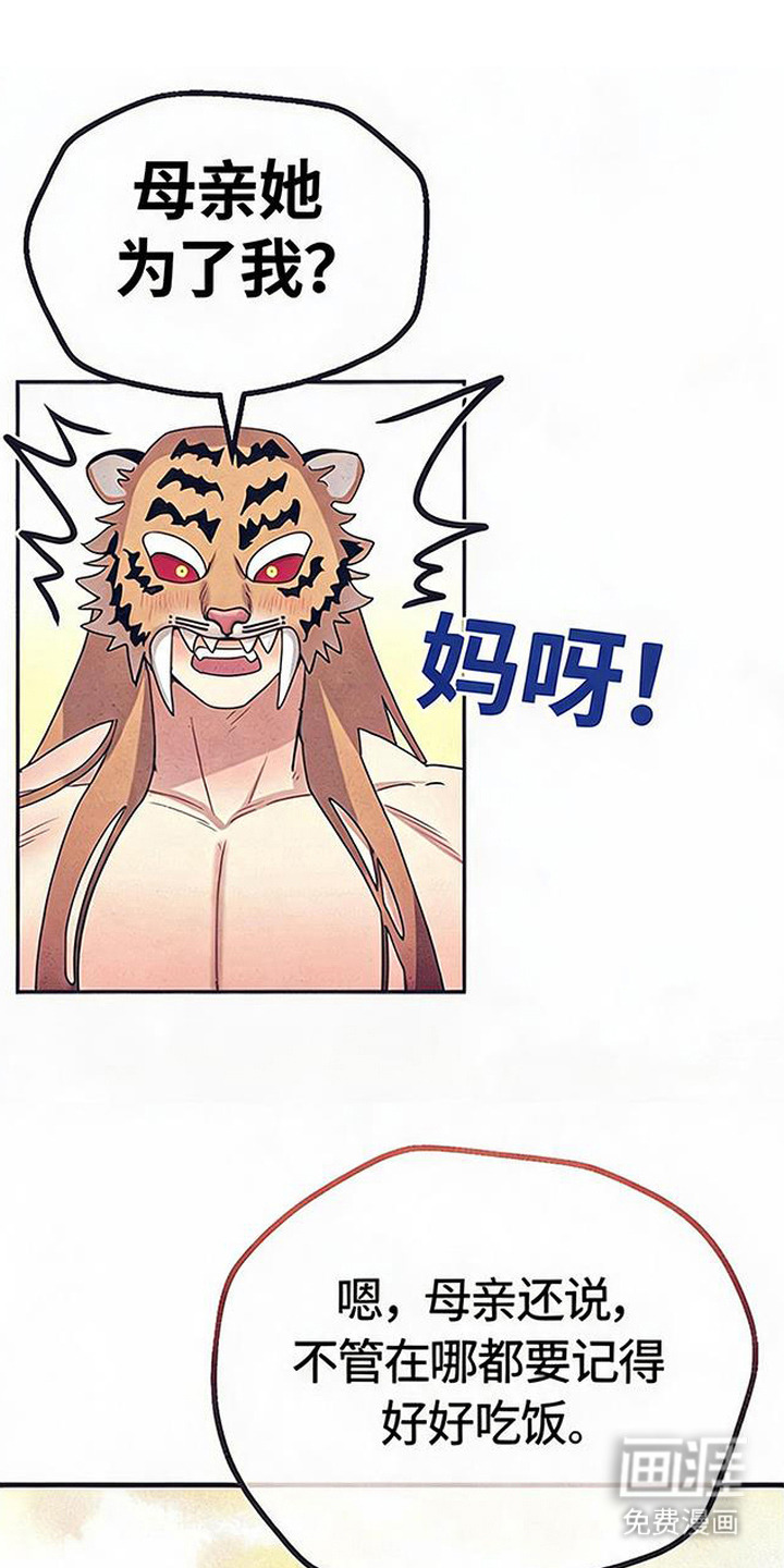 第6话：第6章：礼物预览分镜