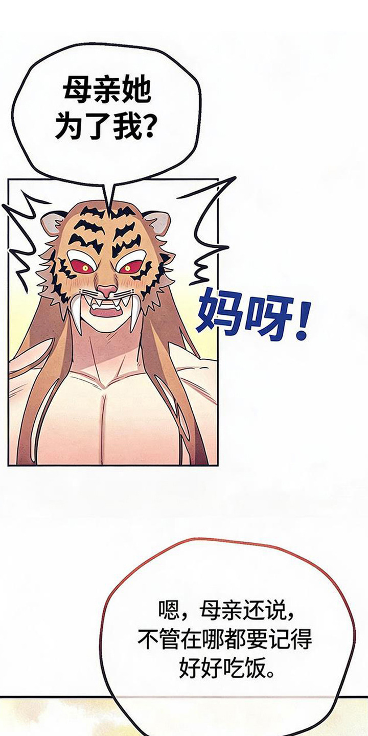 第6话：第6章：礼物预览分镜