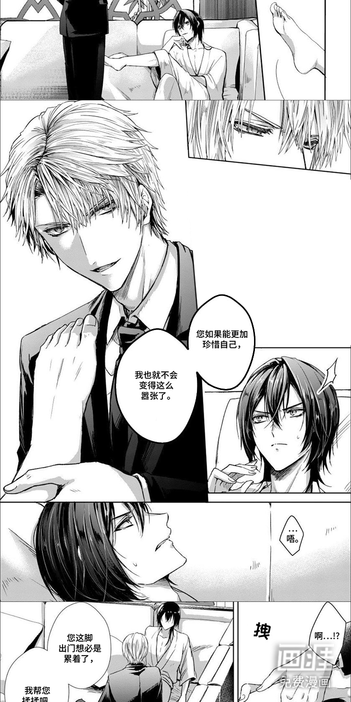 第5话：第5章：命令预览分镜