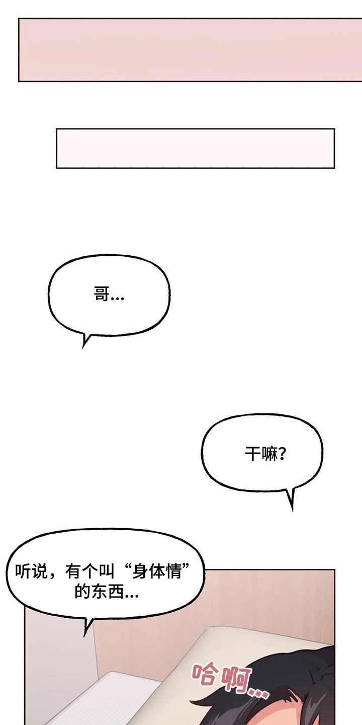 小猫上灶台