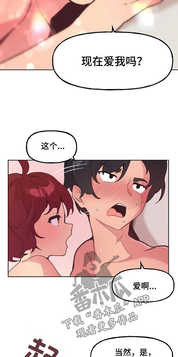 小猫上灶台