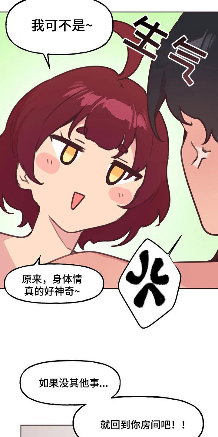 小猫上灶台