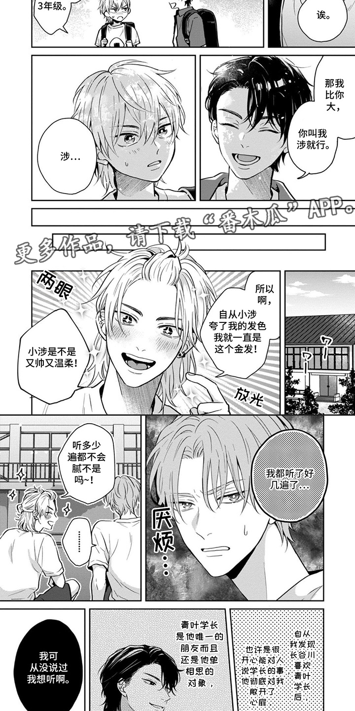 第4话：第4章：非常喜欢他预览分镜