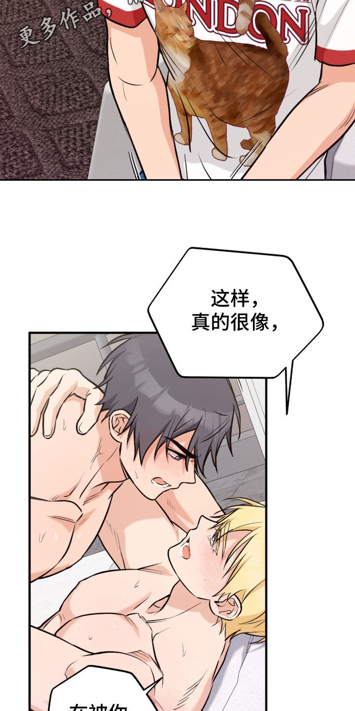 第13话：第13章：让他享受一下预览分镜