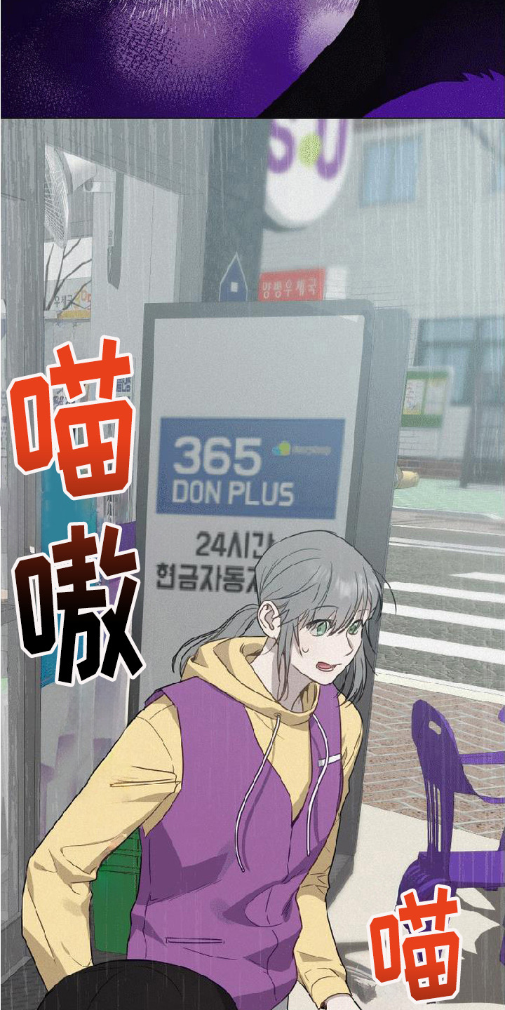 第5话：第5章：炸毛预览分镜