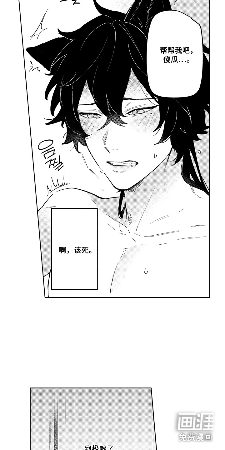 第5话：第5章：珍贵的心意预览分镜