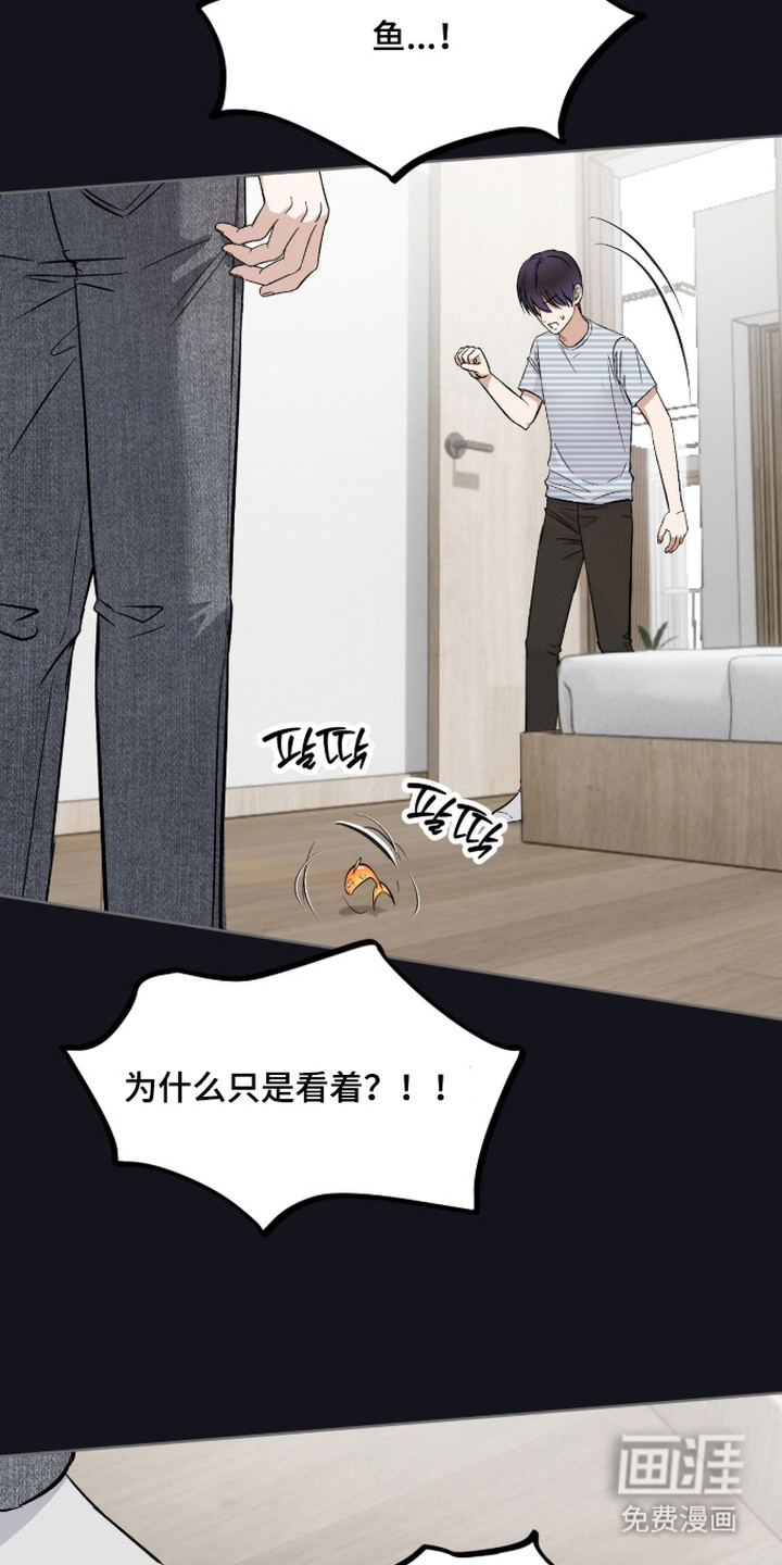 第16话：第16章：随便你预览分镜