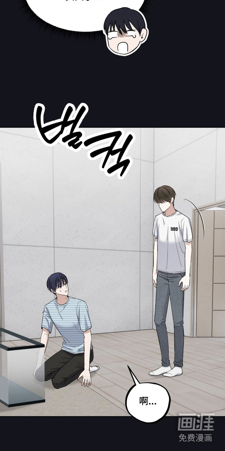 第17话：第17章：逐渐亲近预览分镜