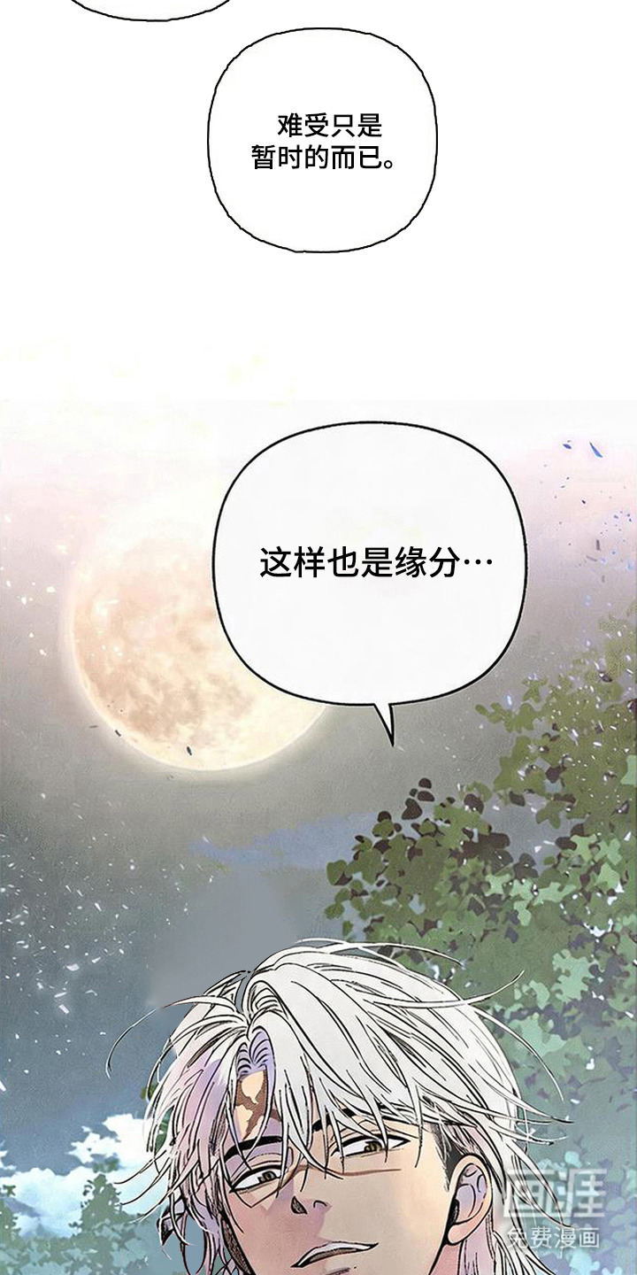 第6话：第6章：美好的夜晚预览分镜