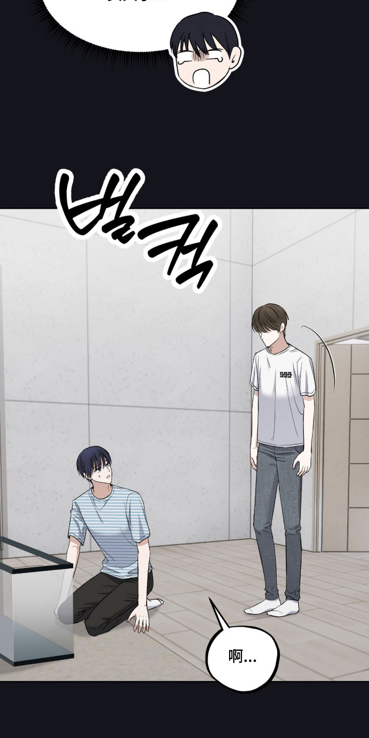 第17话：第17章：逐渐亲近预览分镜