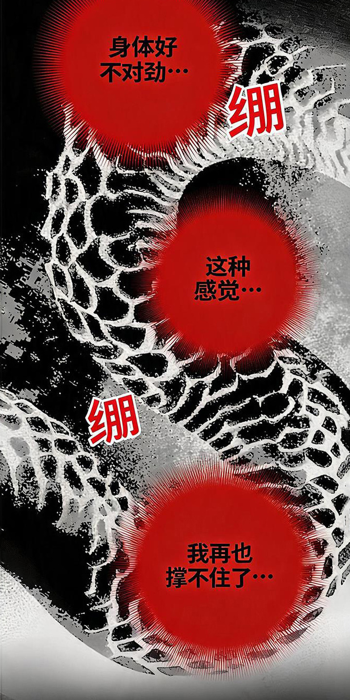 第7话：第7章：美好的夜晚预览分镜