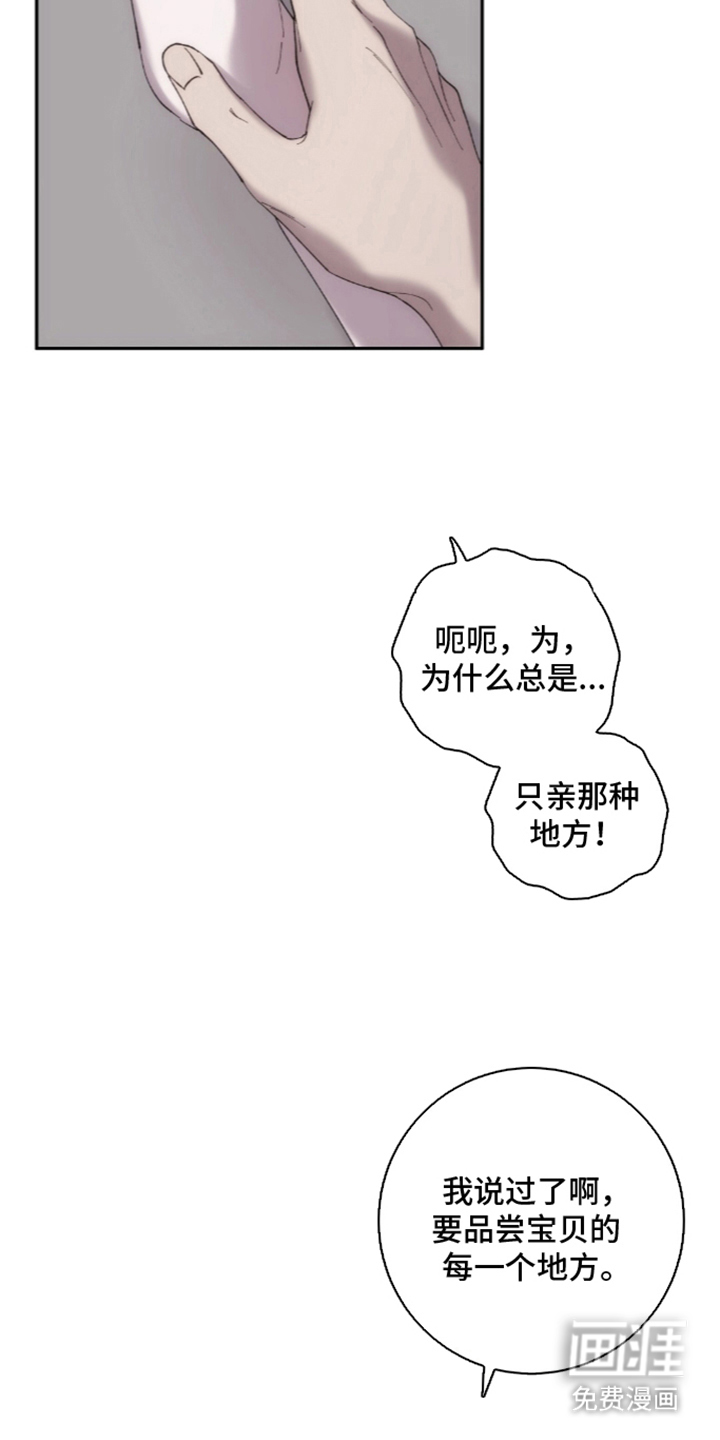 第6话：第6章：说实话预览分镜