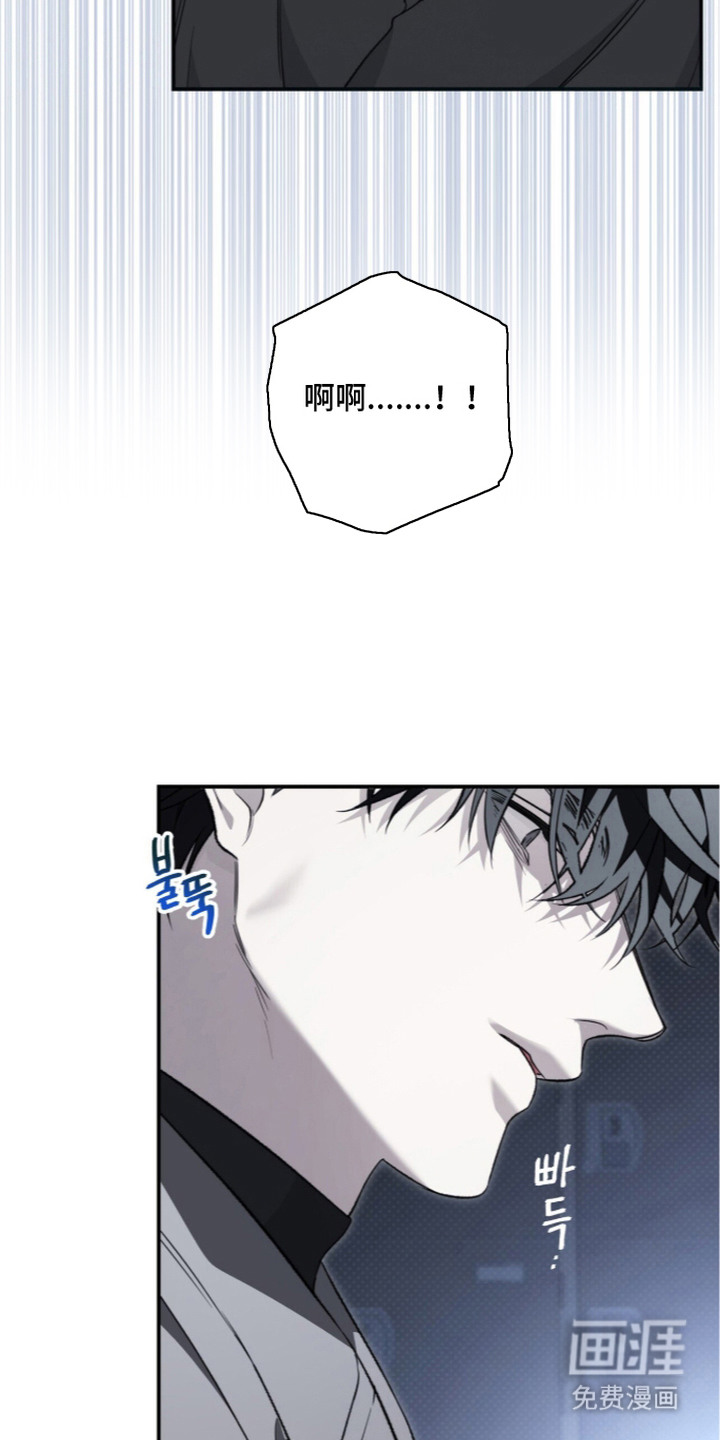 第13话：第13章：悲惨预览分镜