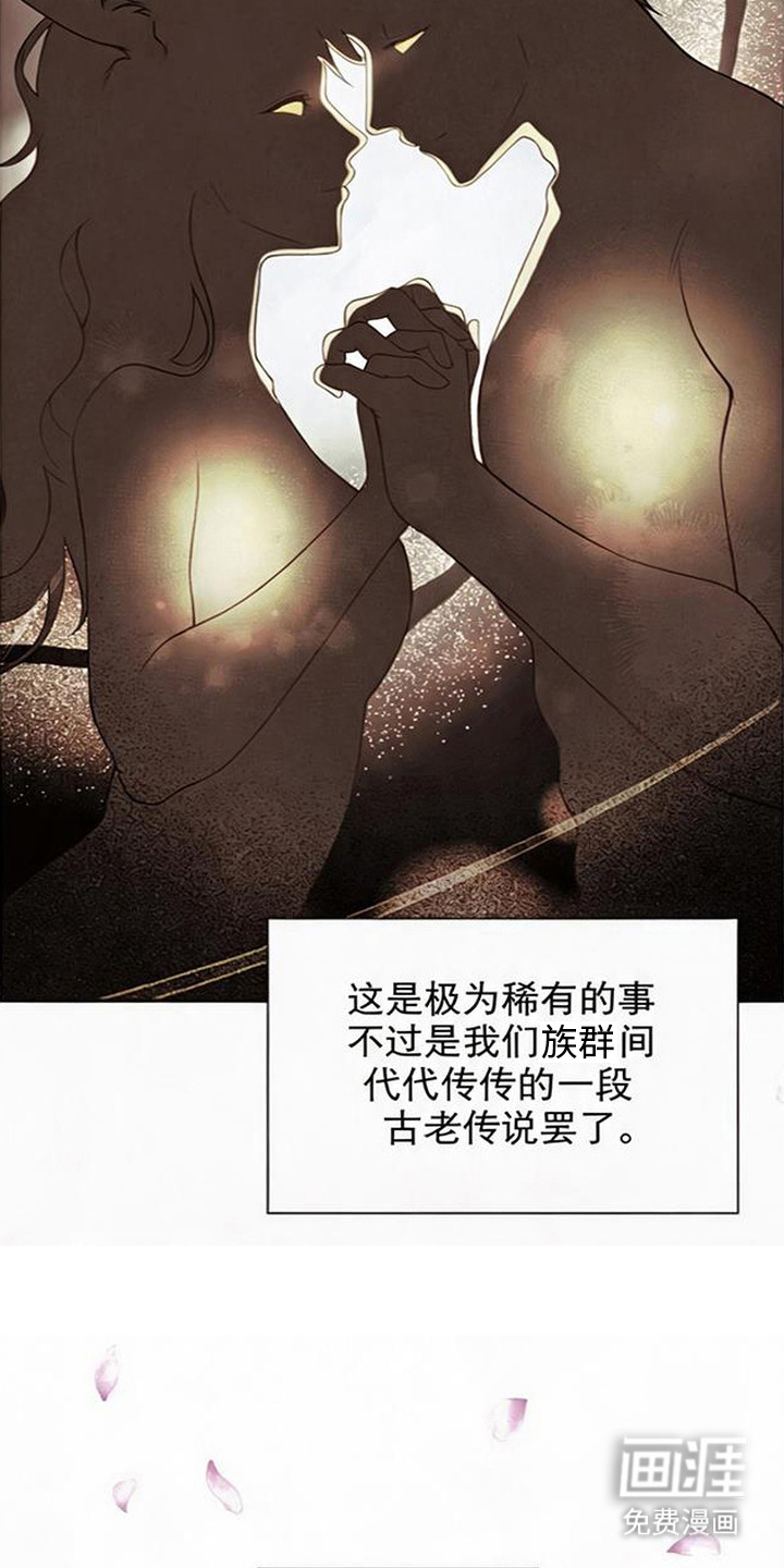 第14话：第14章：本能诅咒预览分镜