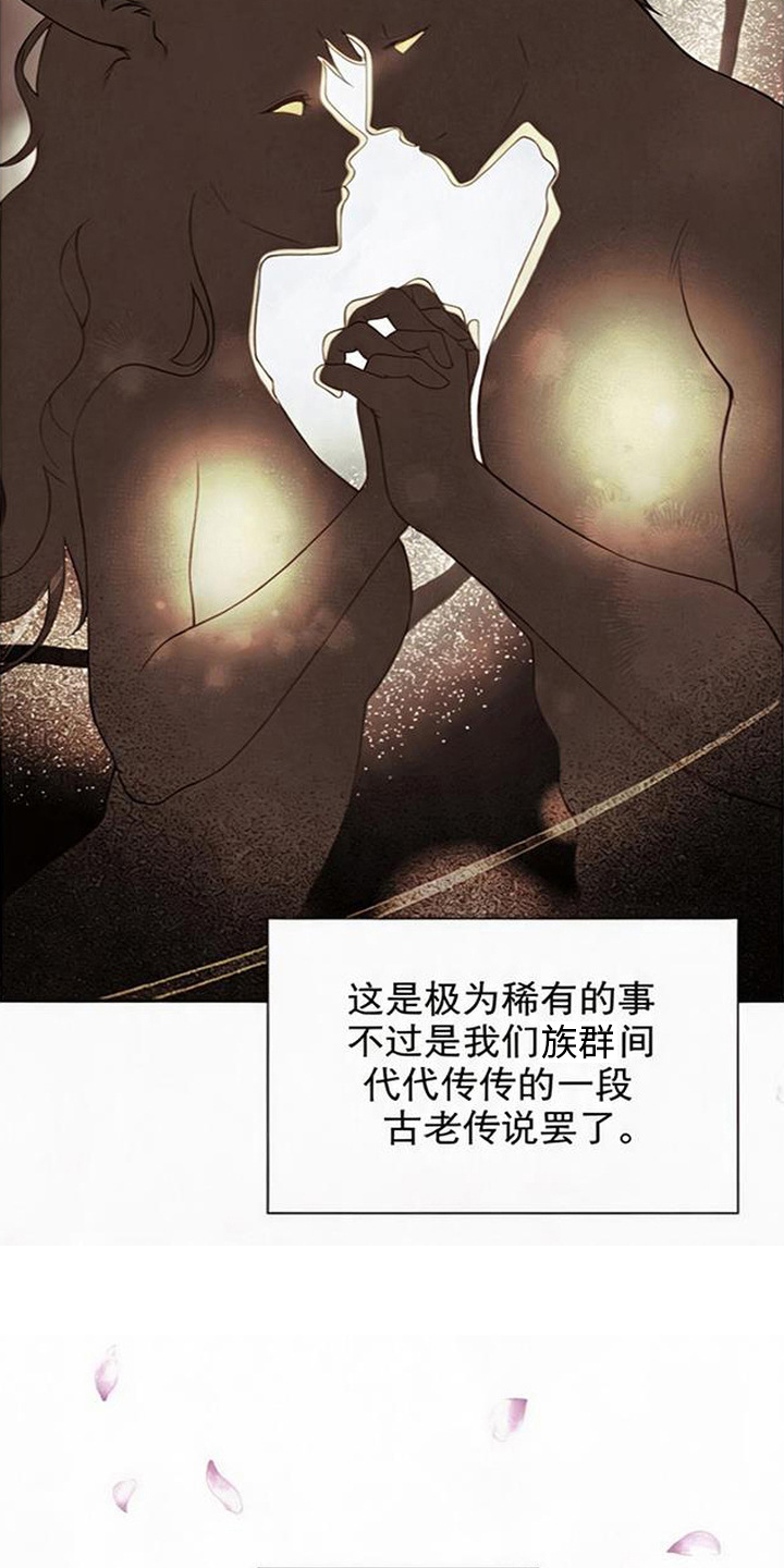 第16话：第16章：本能诅咒预览分镜