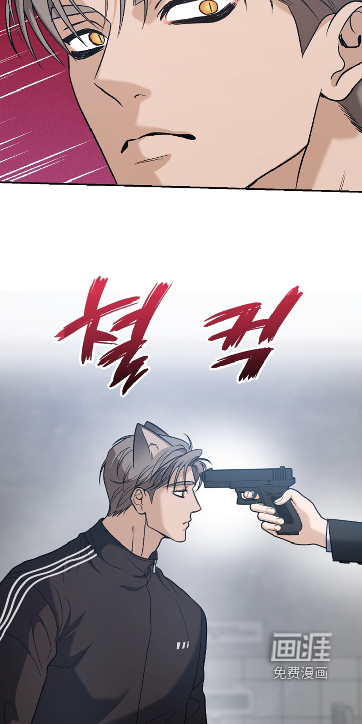 第16话：第16章：哪里受伤了预览分镜