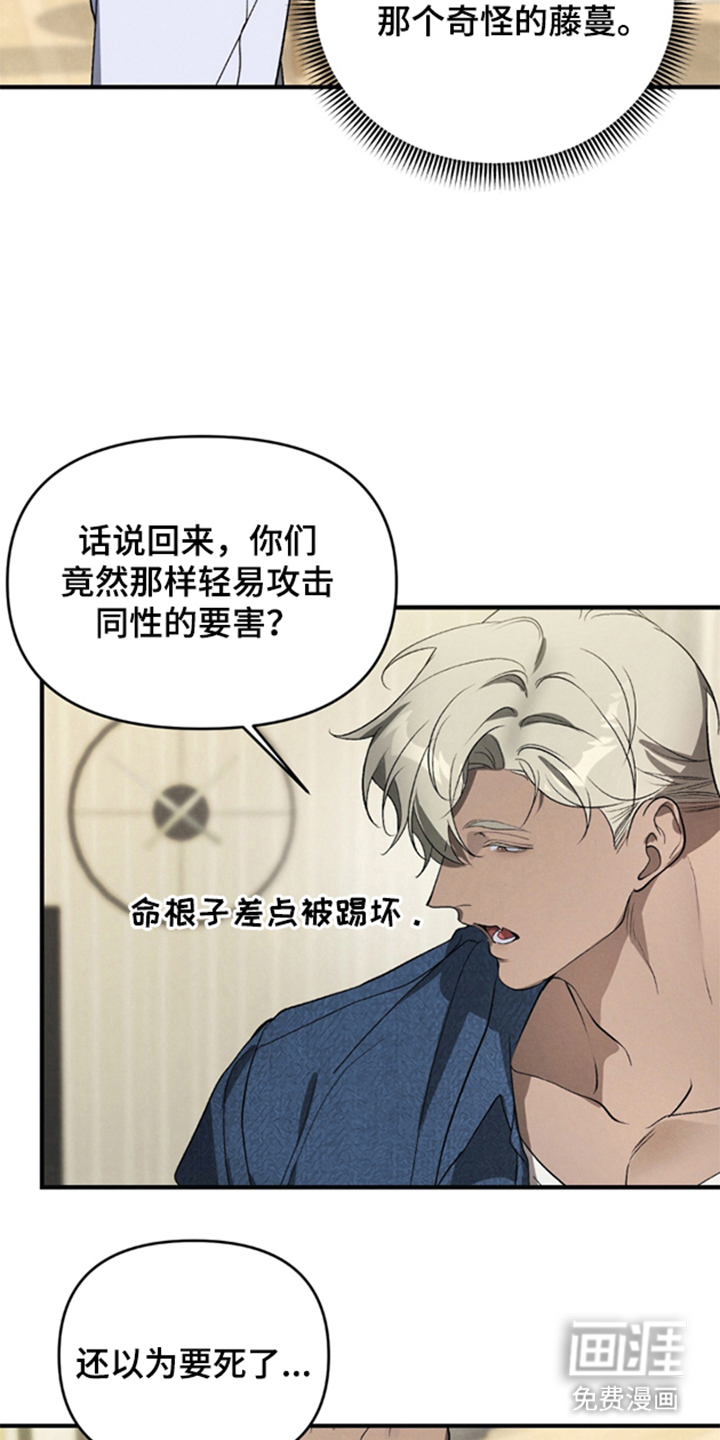 第5话：第5章：地球团队预览分镜