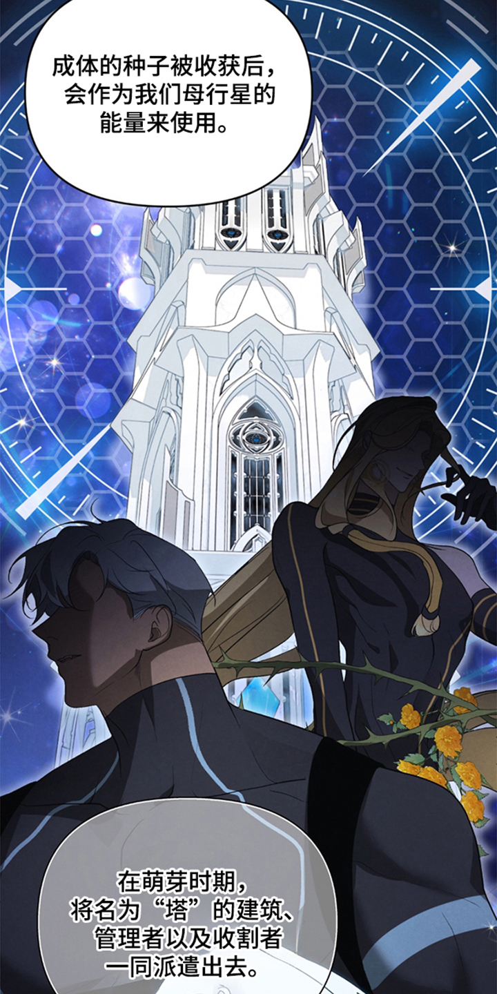 第6话：第6章：最容易引导的感情预览分镜