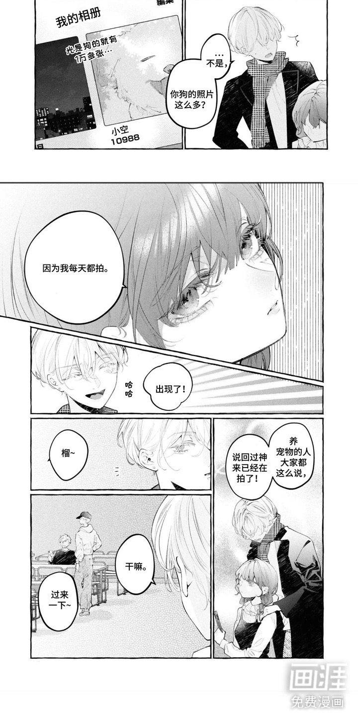第3话：第3章：相册预览分镜