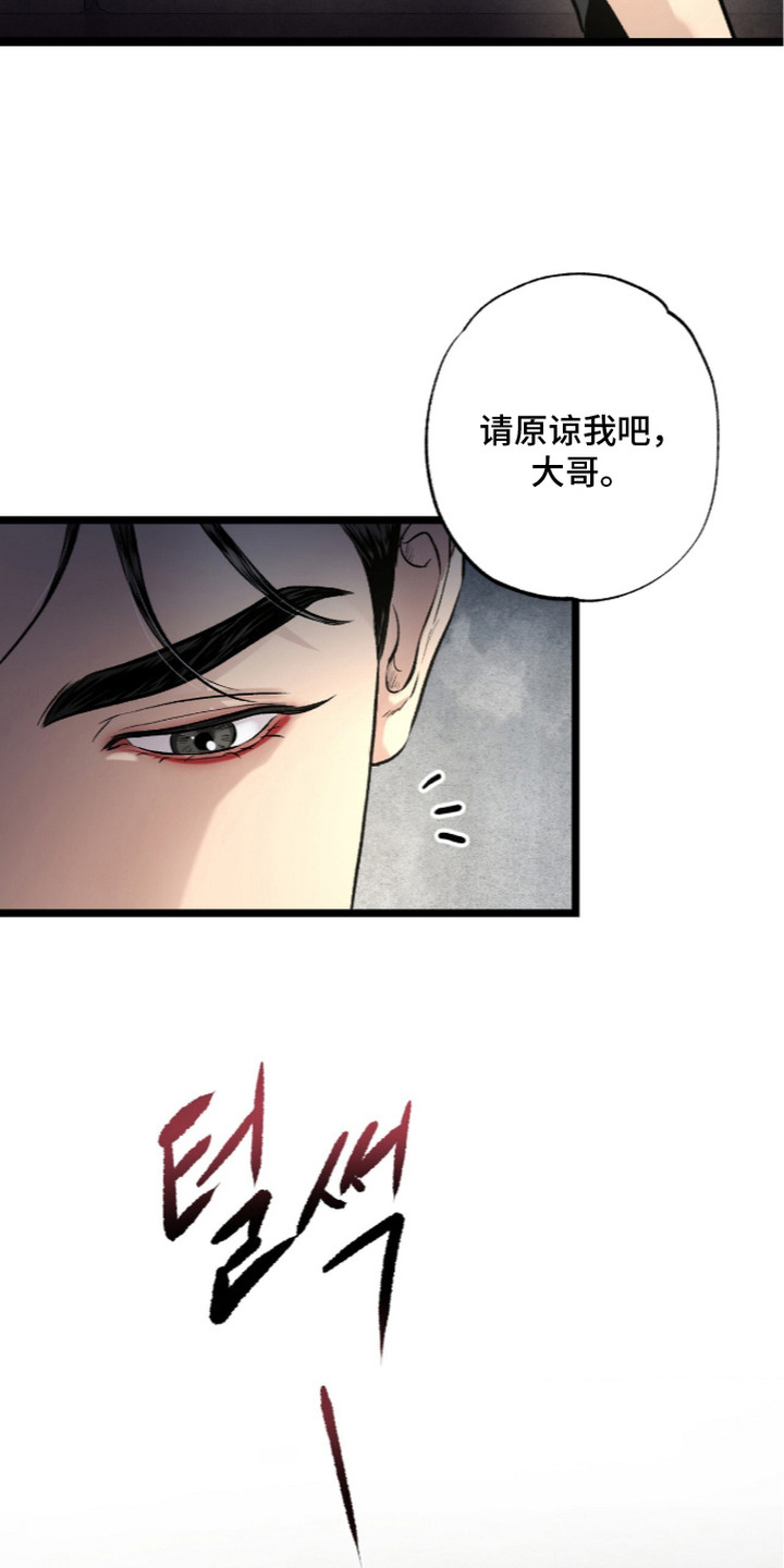第17话：第17章：可以理解预览分镜