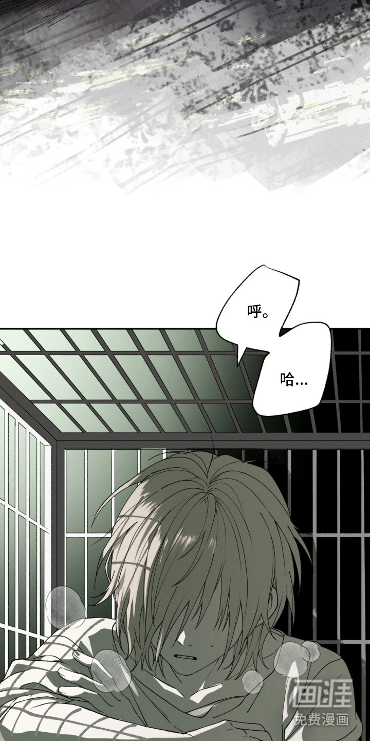 第1话：第1章：宠舍预览分镜