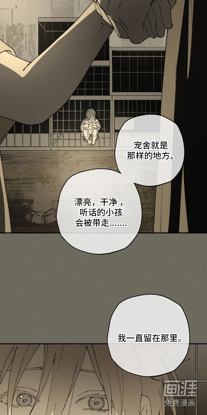 第15话：第15章：回忆预览分镜