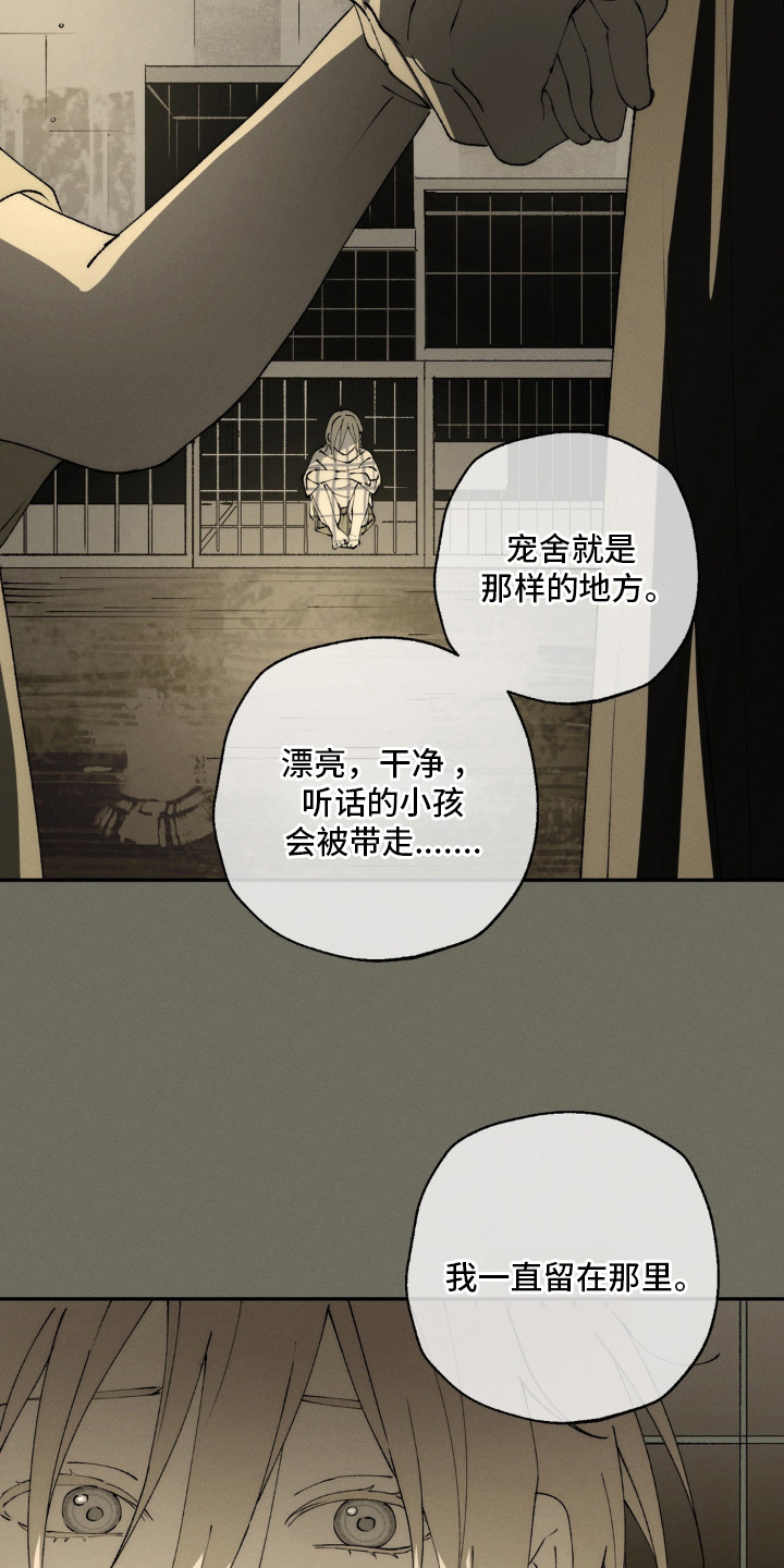 第15话：第15章：回忆预览分镜
