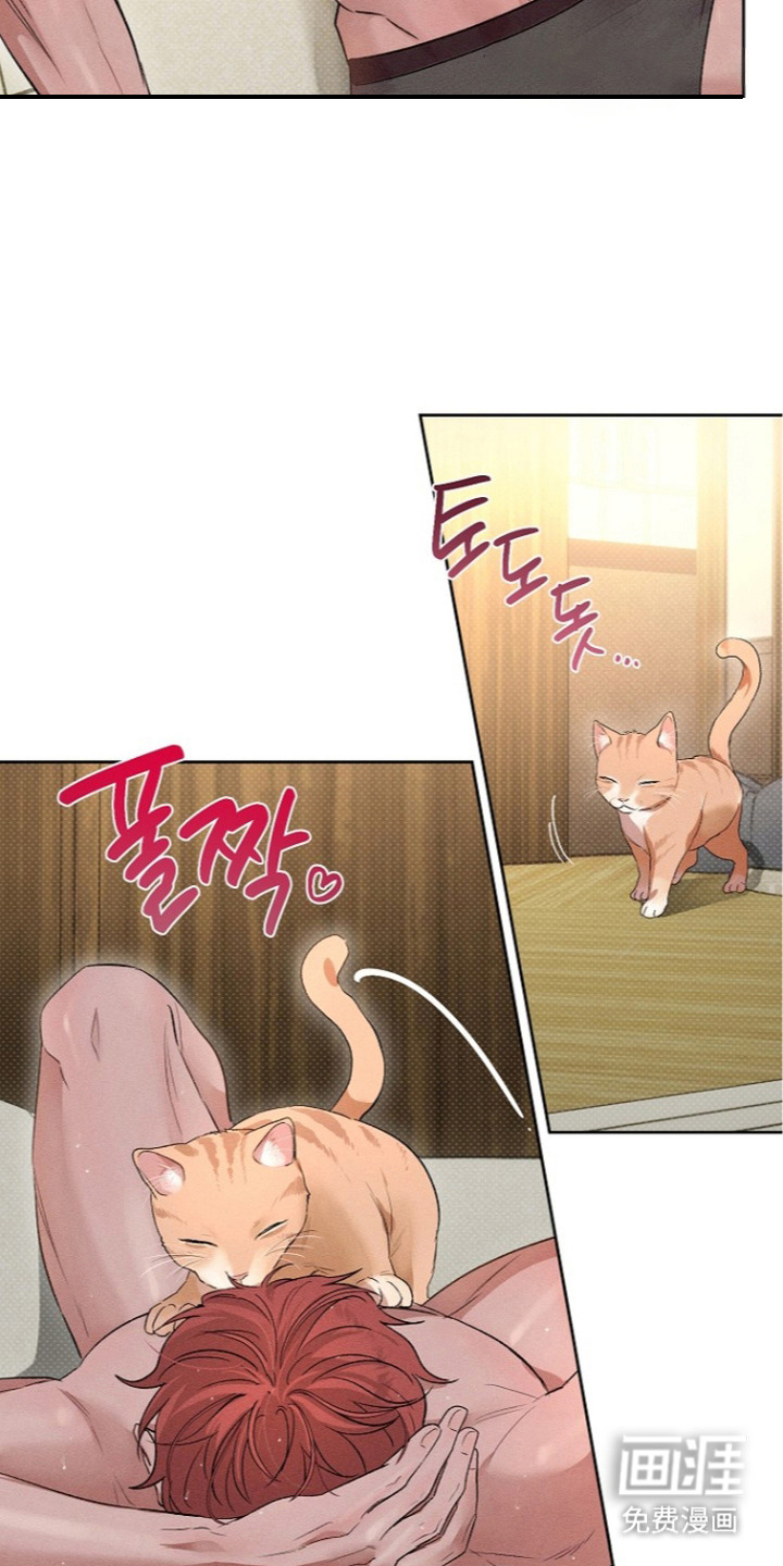 第16话：第16章：有点不舍预览分镜