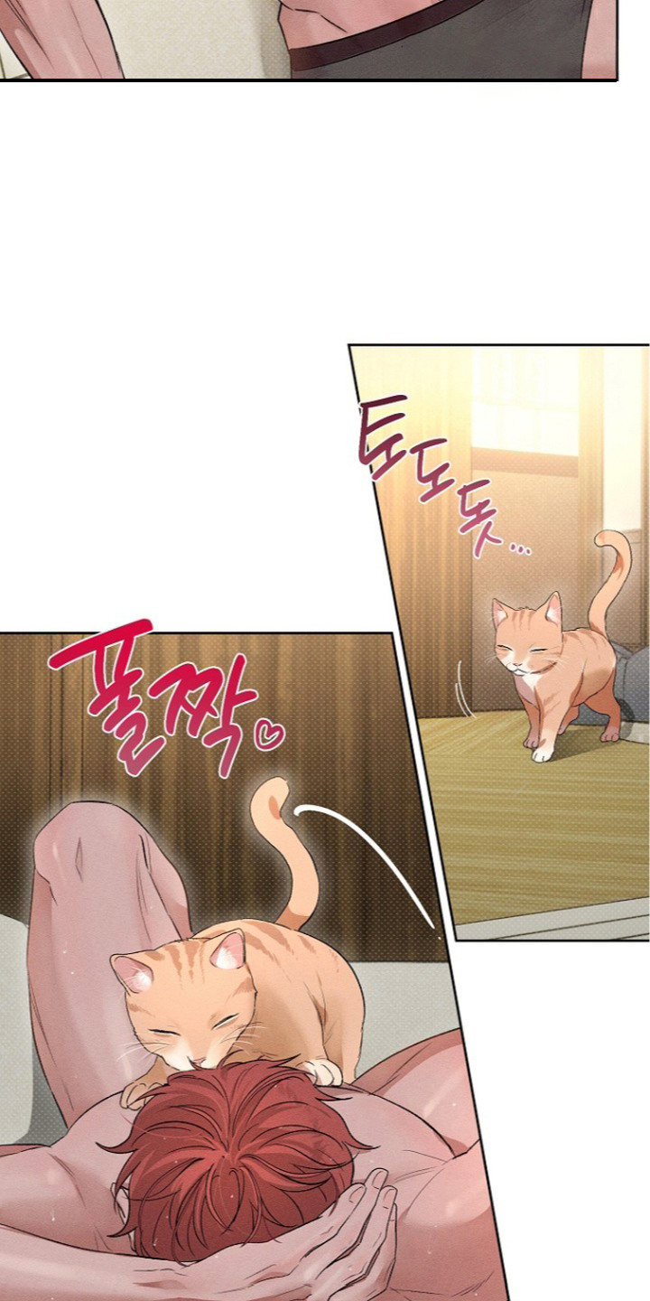 第16话：第16章：有点不舍预览分镜