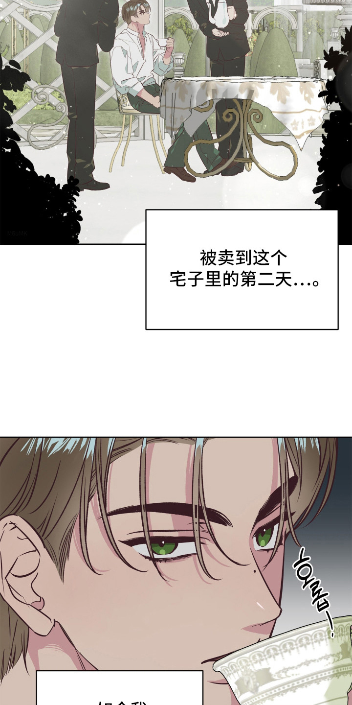 第4话：第4章：冤大头预览分镜