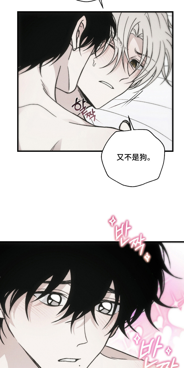 第8话：第8章：随便你吧预览分镜