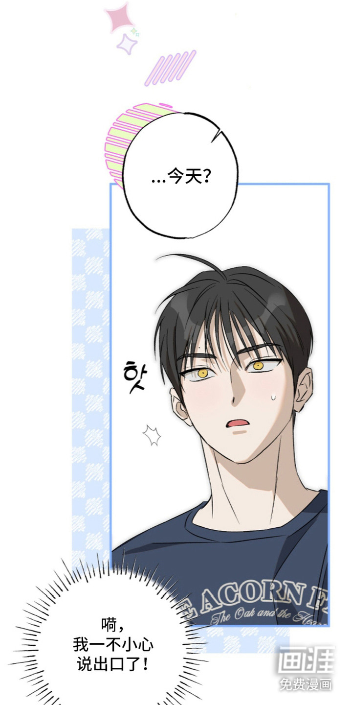 第6话：第6章：危险的错觉预览分镜