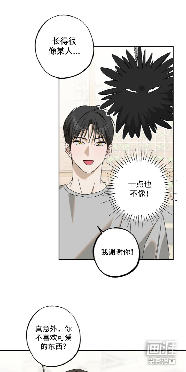 第7话：第7章：贴纸预览分镜