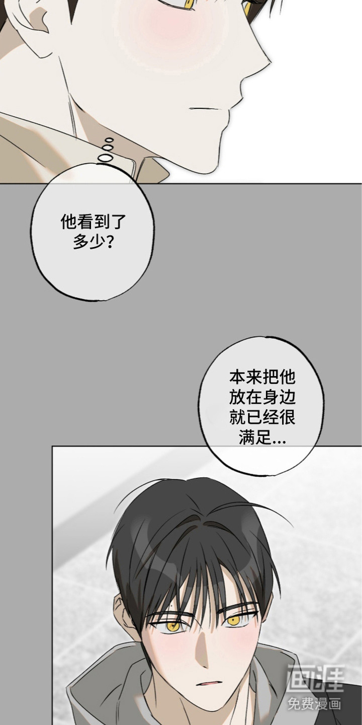 第12话：第12章：因为喜欢预览分镜