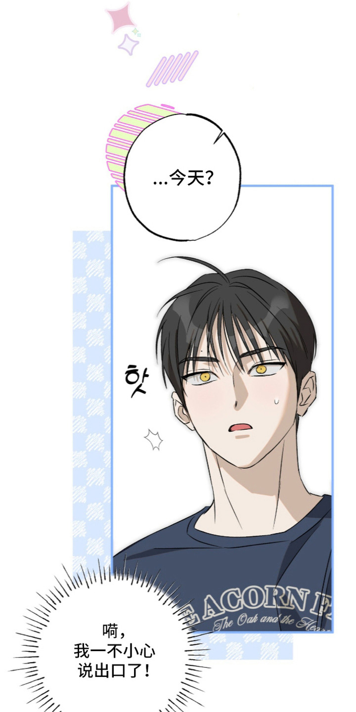 第6话：第6章：危险的错觉预览分镜