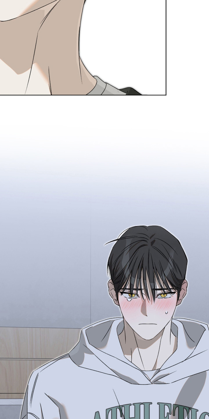 第11话：第11章：想要真心预览分镜