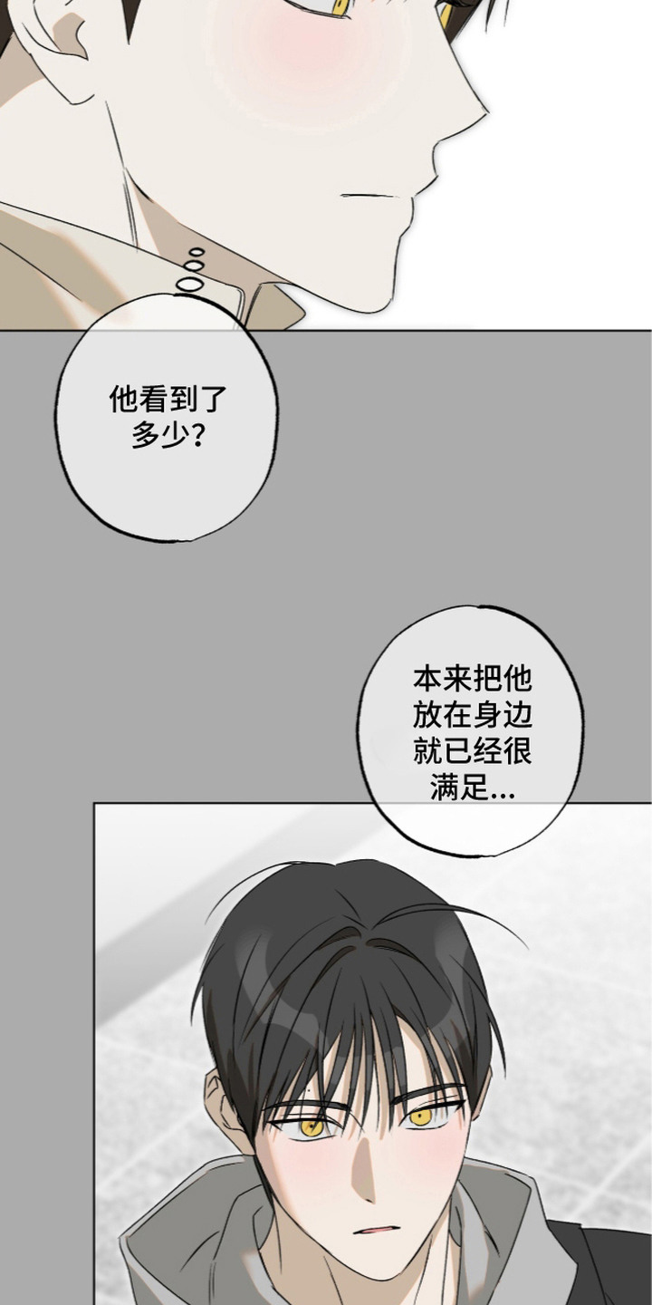 第12话：第12章：因为喜欢预览分镜