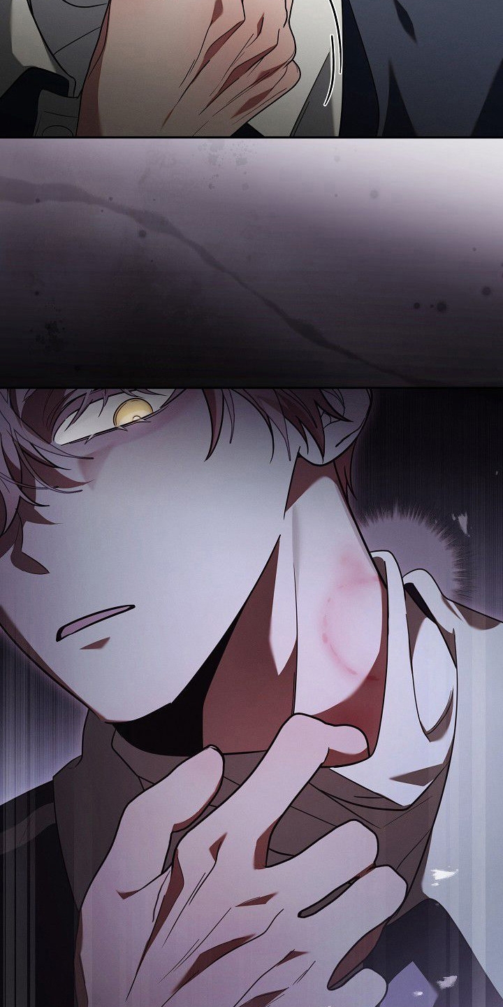 第17话：第17章：被标记预览分镜