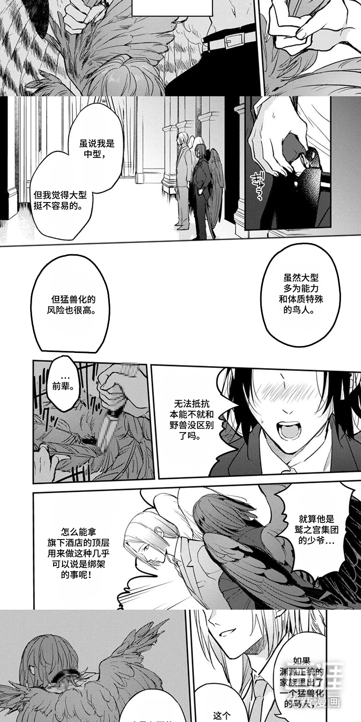 第1话：第1章：小型种预览分镜