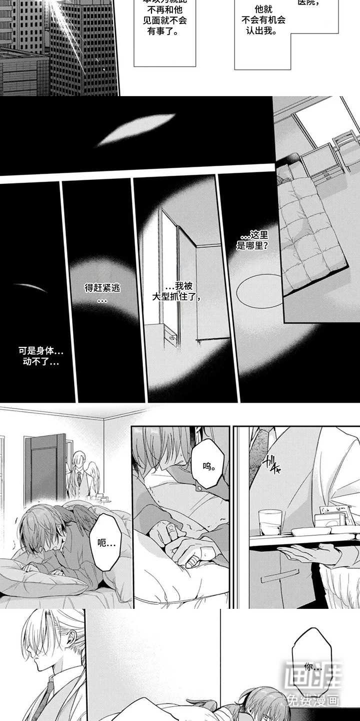 第5话：第5章：保护起来预览分镜