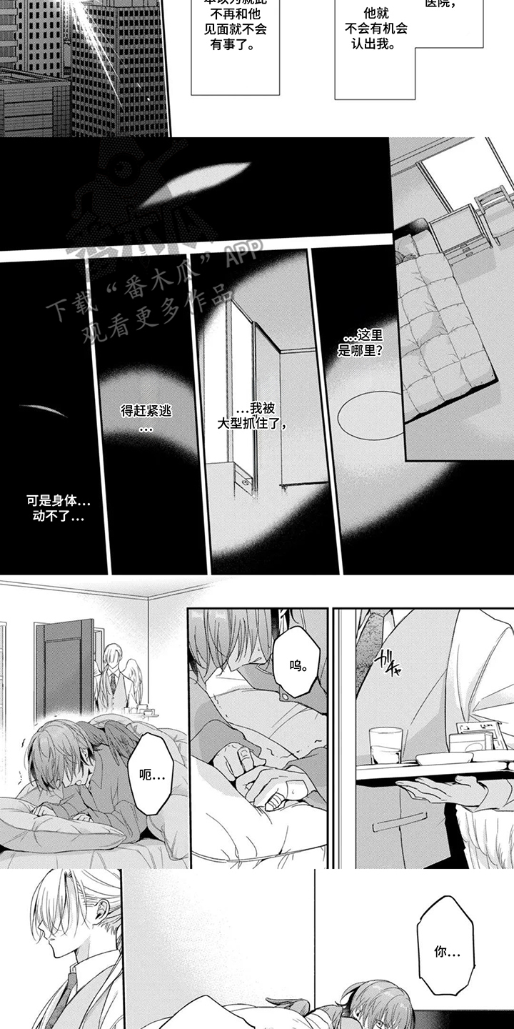 第5话：第5章：保护起来预览分镜