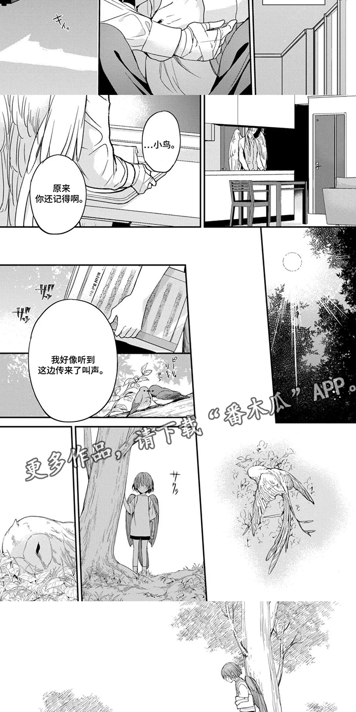第7话：第7章：不要靠近我预览分镜