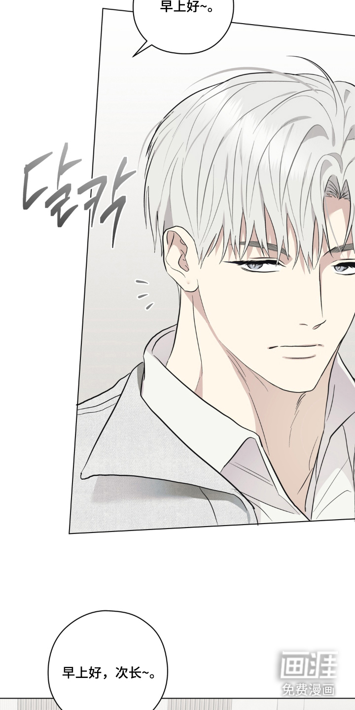 第9话：第9章：便当预览分镜