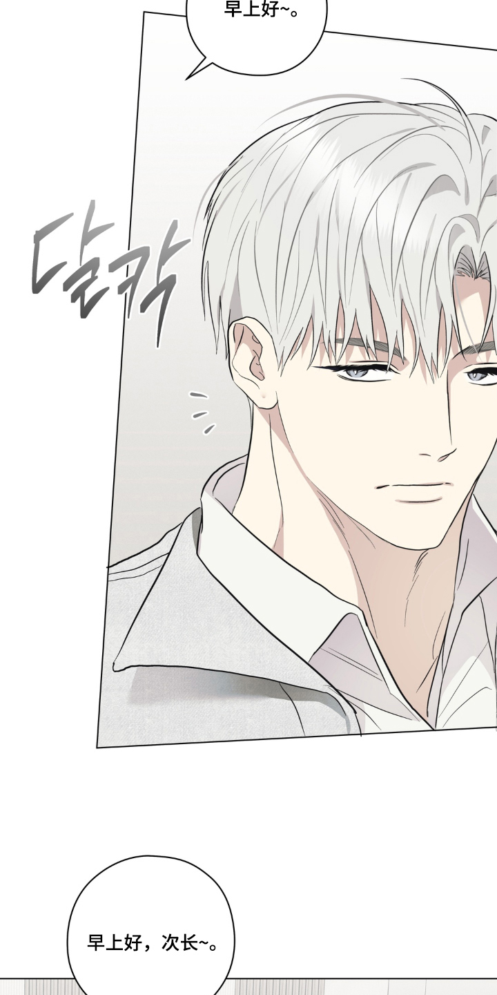 第9话：第9章：便当预览分镜